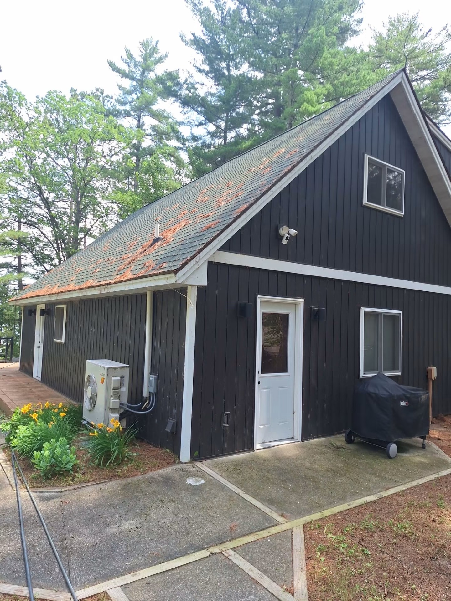 Dark-sided A-frame cabin surrounded by pines