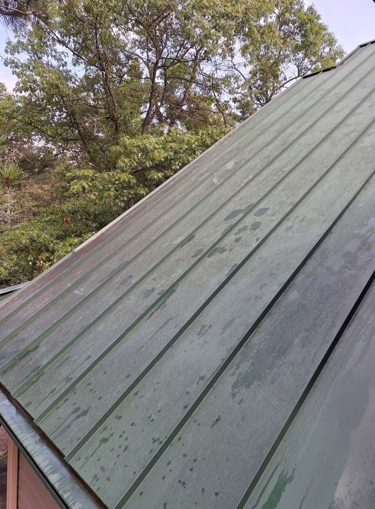 Green metal roof covered in algae and streaks before soft wash