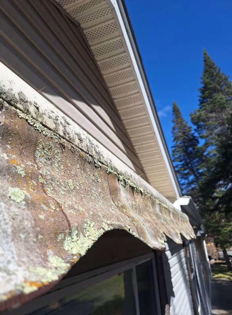 Gutter covered in lichen, moss and buildup